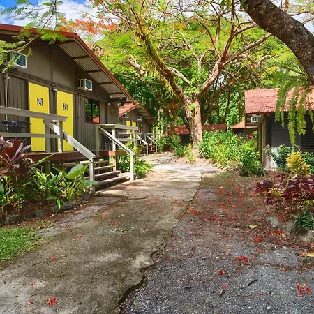 Pk'S Jungle Village Cape Tribulation Exterior photo