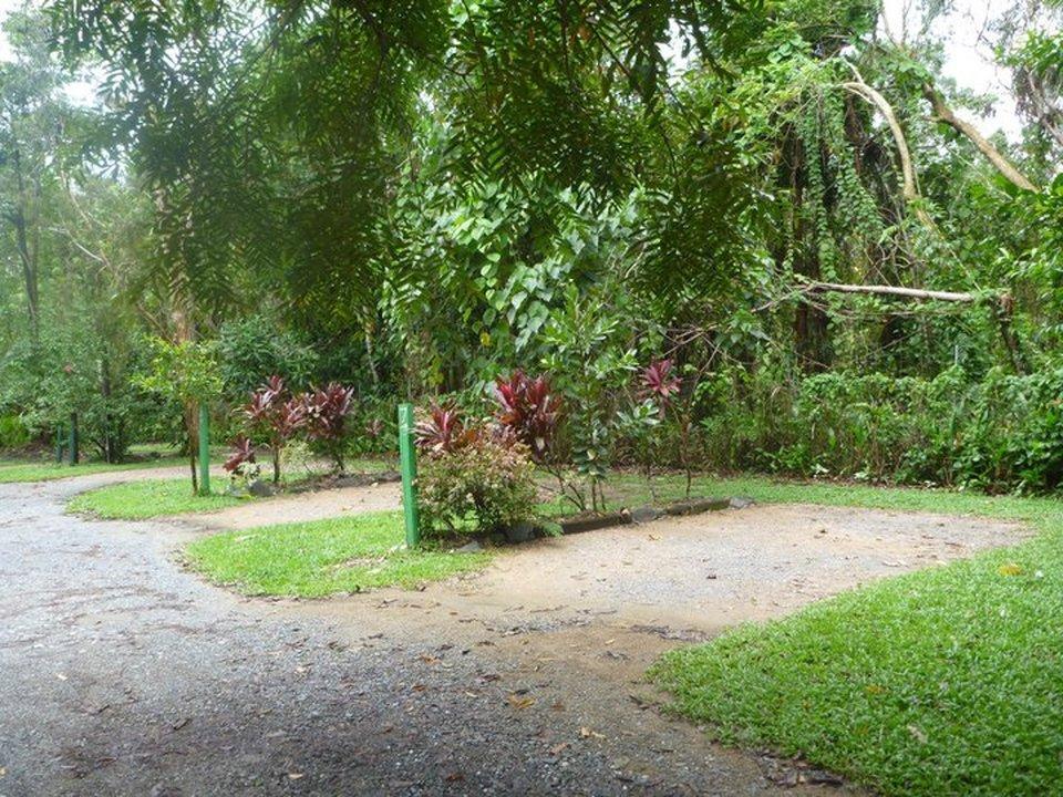 Pk's Jungle Village Hostel