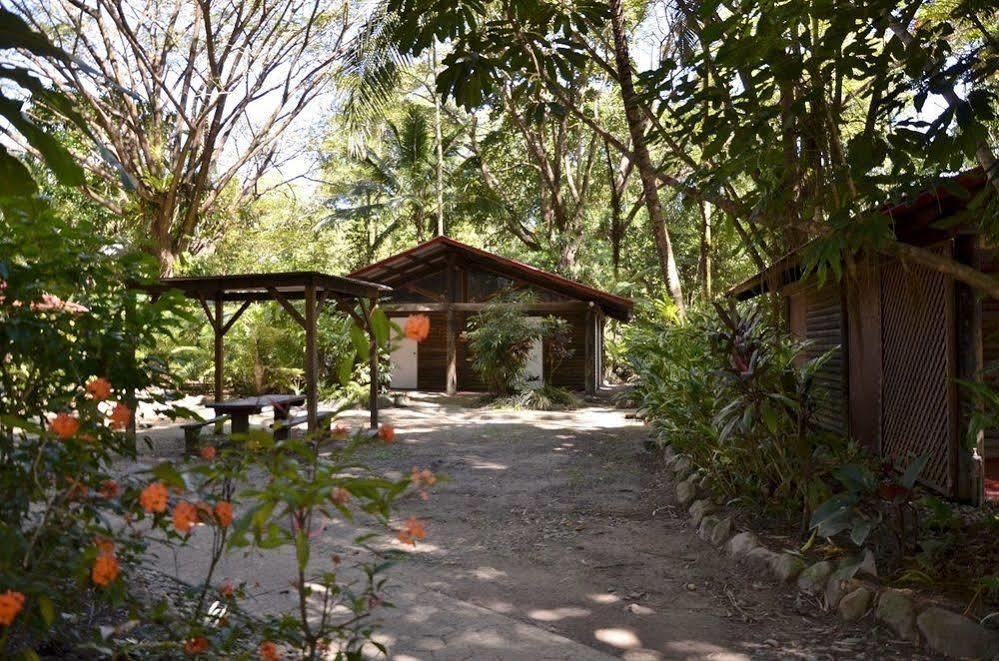 Hostel Pk's Jungle Village
