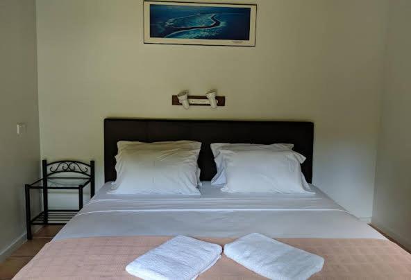 Pk's Jungle Village Hostel Cape Tribulation