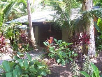 Pk's Jungle Village Hostel