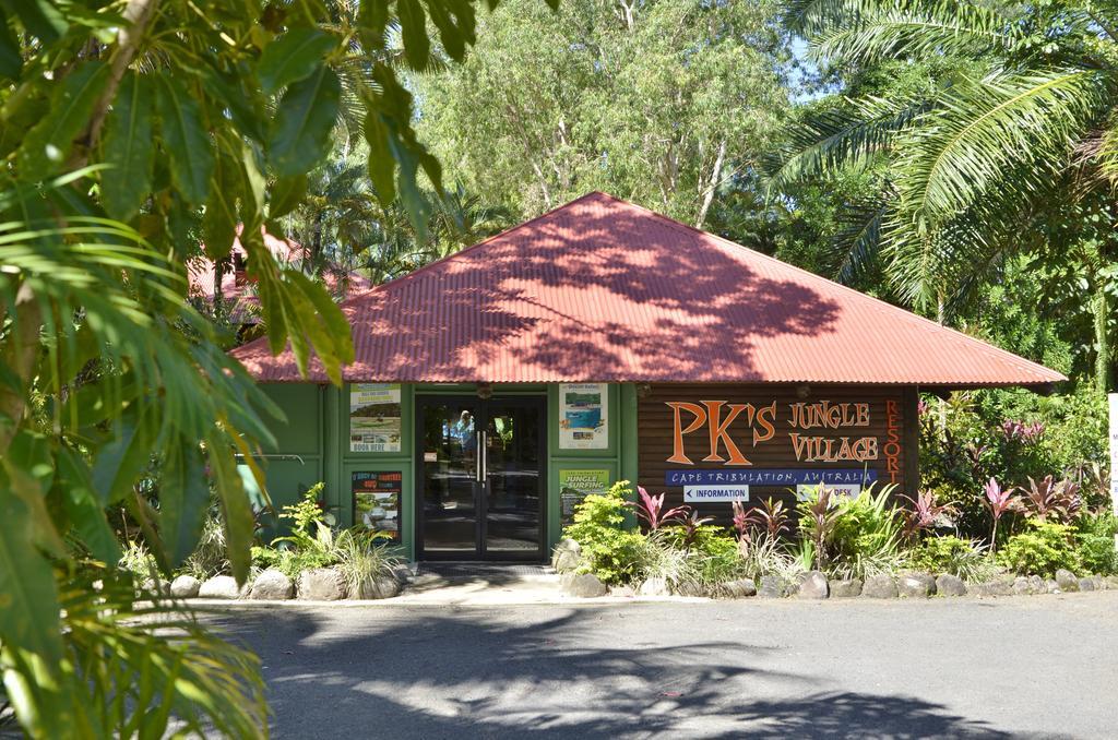 Pk's Jungle Village Hostel